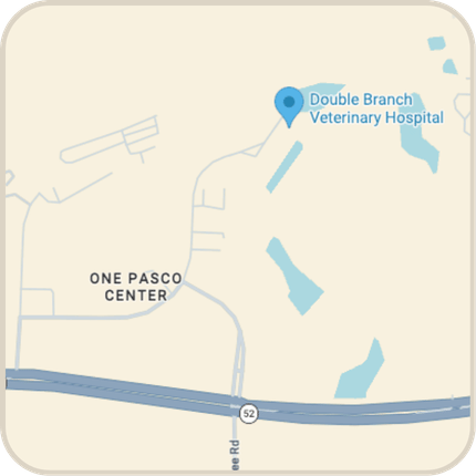 Double Branch Veterinary Hospital map Location preview