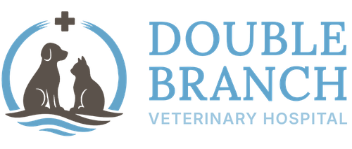 Double Branch Veterinary Hospital